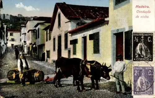 Ak Madeira Portugal, Zwei Bullen ziehen einen Schlitten im Ort