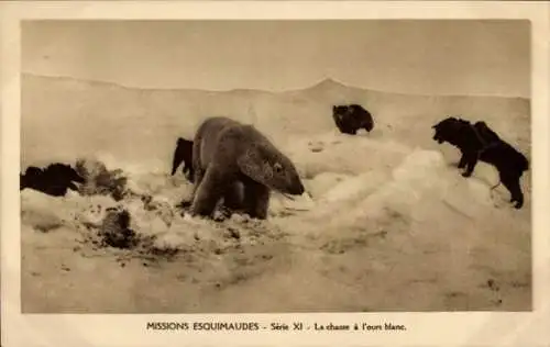 Ak Missions Esquimaudes, Eisbärenjagd