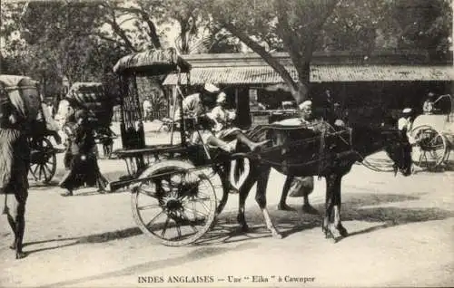 Ak Cawnpore Kanpur Indianer, Britisch-Indien, Une Eika, Eselskarren