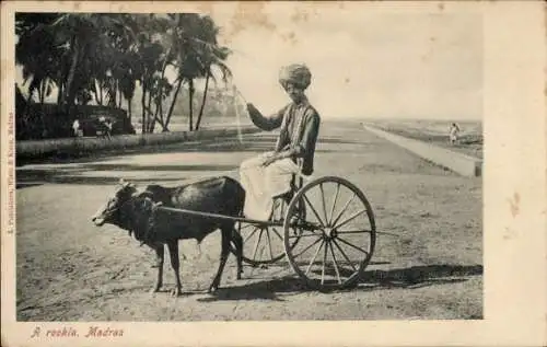 Ak Chennai Madras Indien, Inder, Ochsenkarre