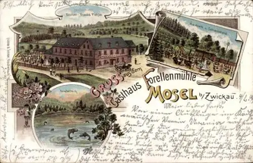 Litho Mosel Zwickau in Sachsen, Gasthaus Forellenmühle, Bes. Eduard Starke, Waldpark, Forellenteich