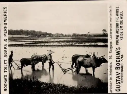 Foto Rangun Myanmar Burma, Arbeiter im Reisfeld, Gustav Boehm's Toilet Soaps