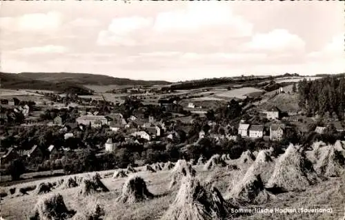 Ak Hachen Sundern im Sauerland, Panorama, Heu-Ernte