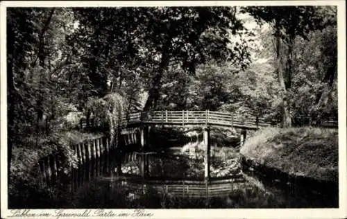 Ak Lübbenau im Spreewald, im Hain, Brücke