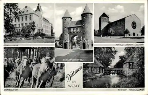 Ak Dülmen in Westfalen, Lüdinghauser Tor, Gymnasium, Heilig Kreuz Kirche, Teichmühle, Wildpferde