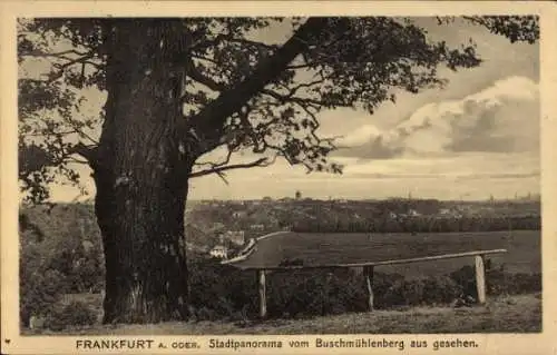 Ak Frankfurt an der Oder, Stadtpanorama, Blick vom Buschmühlenberg