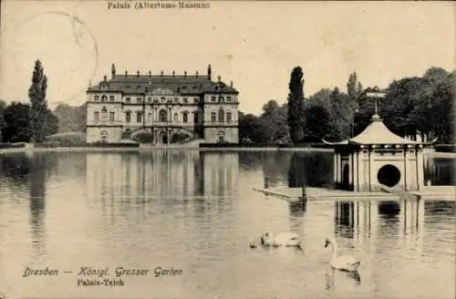 Ak Dresden Altstadt, Großer Garten, Palais Teich, Altertums-Museum, Schwäne