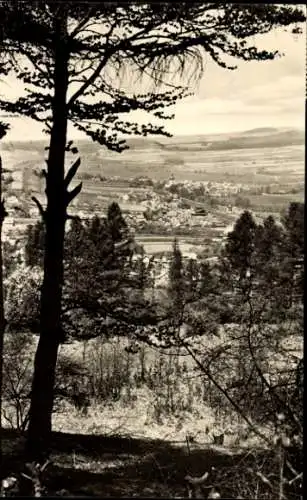 Ak Hildburghausen in Thüringen, Häselrieth, Panorama