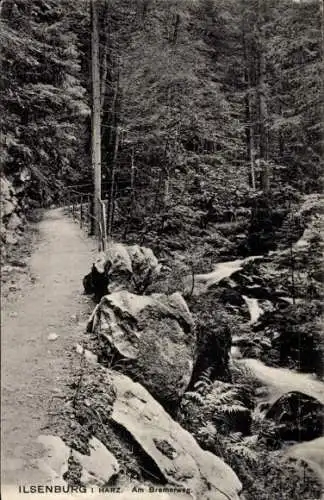 Ak Ilsenburg im Harz, Bremerweg