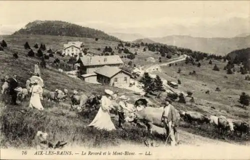 Ak Aix les Bains Savoie, Revard, Mont Blanc, Kühe