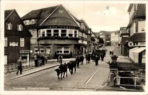 Ak Braunlage im Oberharz, Elbingeröder Straße, Rinder, Passanten, Cafe Junker