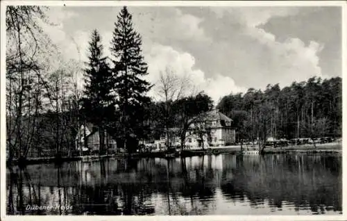 Ak Eisenhammer Tornau Gräfenhainichen in der Dübener Heide, Heide-Gasthof, Inh. Paul Platen