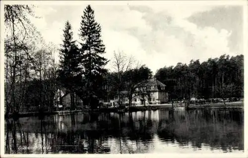 Ak Eisenhammer Tornau Gräfenhainichen in der Dübener Heide, Heide-Gasthof, Inh. Paul Platen