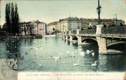 Ak Genf Genf Schweiz, Die Möwen am Pont du Mont Blanc