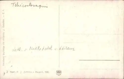 Künstler Ak Safarik, J., Praha Prag Tschechien, Pulverturm