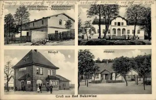 Ak Bad Bukowine Schlesien, Försterei, Gasthaus Waldschlösschen, Schloss, Bahnhof