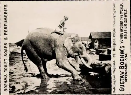 Foto Rangun Myanmar Burma, Holztragender Elefant, Reklame Boehm's Toilet Soap