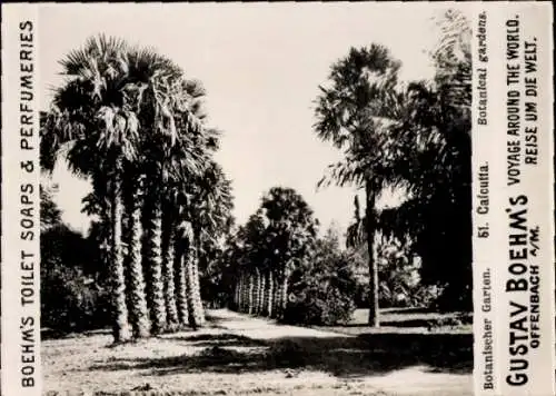 Foto Kolkata Kalkutta Indien, Botanischer Garten, Reklame Boehm's Toilet Soap