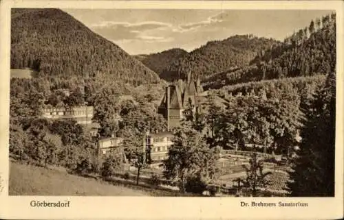 Ak Sokołowsko Görbersdorf Schlesien, Dr. Brehmers Sanatorium