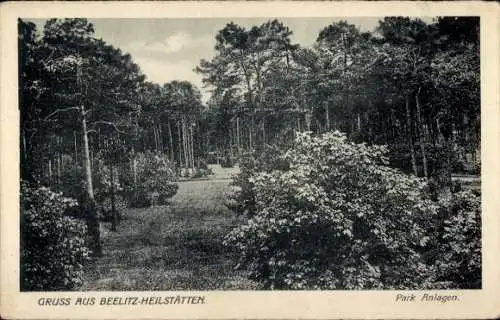 Ak Beelitz in der Mark, Heilstätten, Parkanlagen