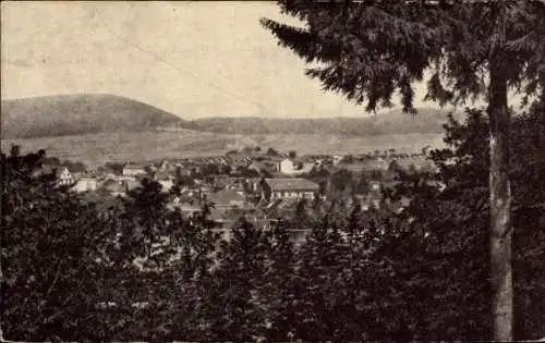 Ak Friedrichroda im Thüringer Wald, Sanatorium Tannenhof, Blick vom Sanatorium