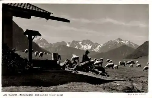 Ak Mittenwald in Oberbayern, Tonihof, Schäfer, Schafherde, Tiroler Berge, Brunnental