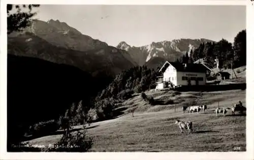 Ak Garmisch Partenkirchen in Oberbayern, Partrachalm, Kühe