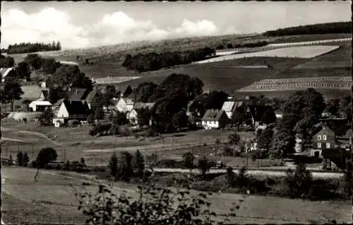 Ak Lützel Hilchenbach, Gasthof und Pension Gillerhof, Panorama