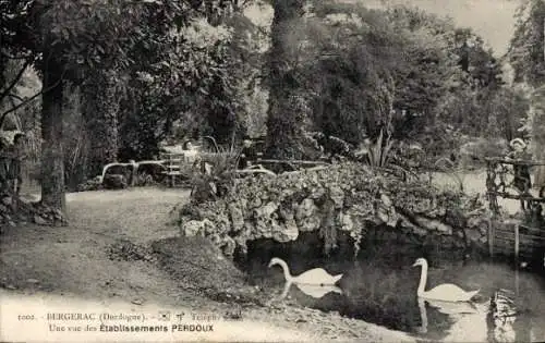 Ak Bergerac Dordogne, une vue des Etablissements Perdoux, Schwäne