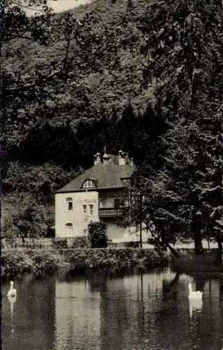 Ak Bad Bertrich an der Mosel Eifel, Villa Mosella, Schwäne