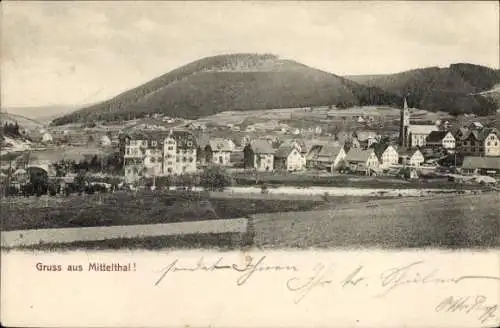 Ak Mitteltal Baiersbronn im Schwarzwald, Gesamtansicht