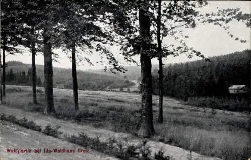 Ak Greiz in Thüringen, Waldpartie beim Ida Waldhaus, Landschaftsansicht