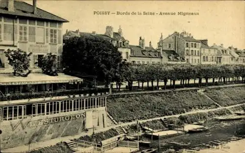 Ak Poissy Yvelines, Bords de la Seine, Avenue Migneaux, Esturgeon