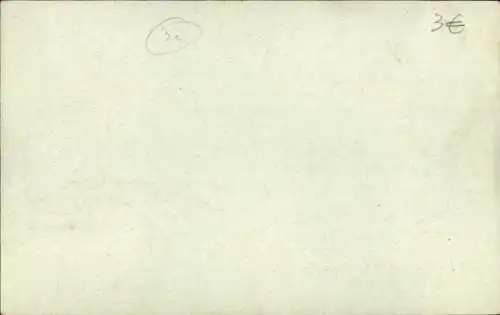 Stereo Ak Japan, Japaner, Kinderwagen