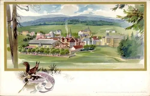 Litho Hahnenklee Bockswiese Goslar im Harz, Panorama