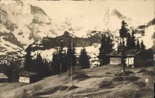 Ak Mürren Kanton Bern, Breithorn, Großhorn