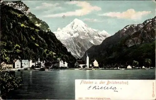 Ak Flüelen Kt. Uri Schweiz, Gesamtansicht, Bristenstock