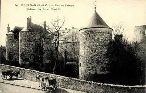 Set von 20 AK Dourdan, diverse Ansichten