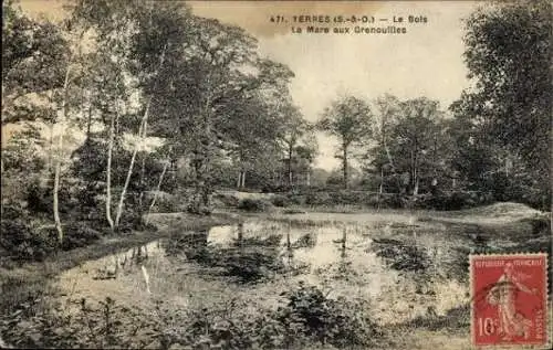Set von 12 AK Yerres, verschiedene Ansichten