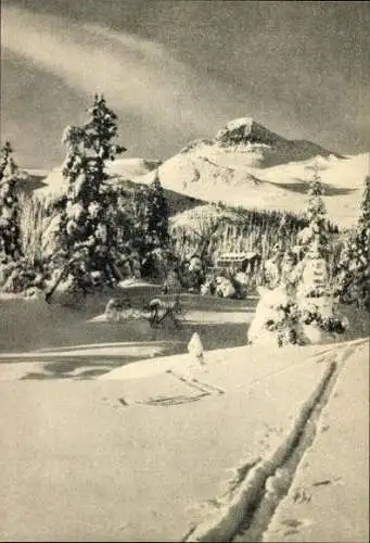 Set von 28 AK im Umschlag "Perlen – AUS DER NATUR WUNDERLAND" 1943