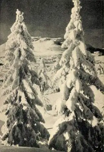 Set von 28 AK im Umschlag "Perlen – AUS DER NATUR WUNDERLAND" 1943