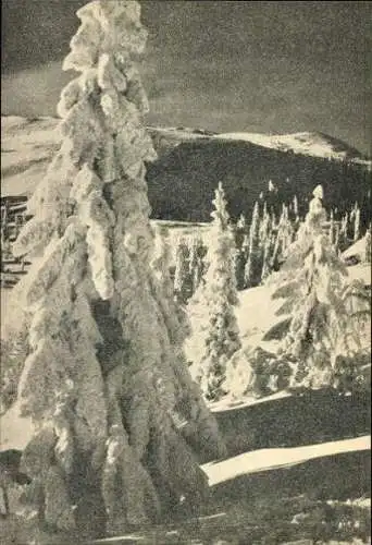 Set von 28 AK im Umschlag "Perlen – AUS DER NATUR WUNDERLAND" 1943