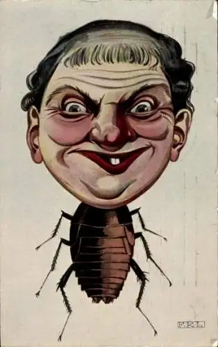 Künstler Ak Fliege mit Frauenkopf, Karikatur