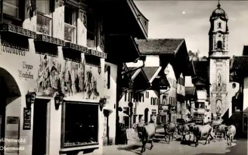 Ak Mittenwald in Oberbayern, Obermarkt, Pfarrkirche, Kuhherde