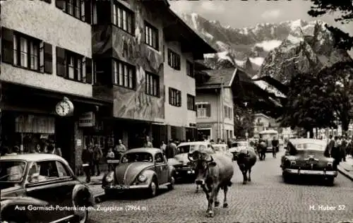 Ak Garmisch Partenkirchen in Oberbayern, Zugspitze, Straßenszene, Kühe, Viehtrieb