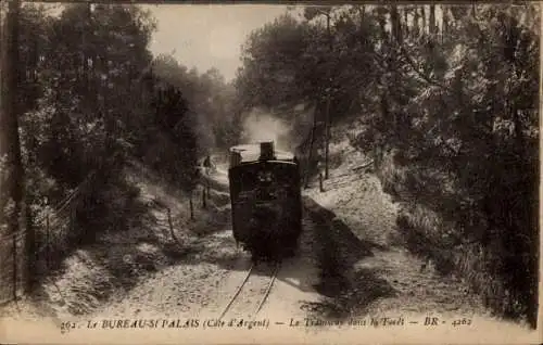 Ak Le Bureau Saint Palais sur Mer Charente Maritime, Die Eisenbahn im Wald