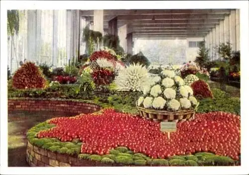 Ak Stuttgart in Württemberg, Gartenschau, Aus der Hallenschau