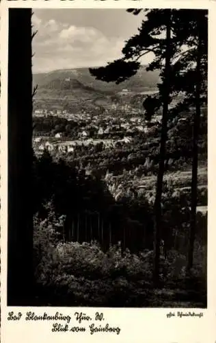 Ak Bad Blankenburg in Thüringen, Blick vom Gainberg