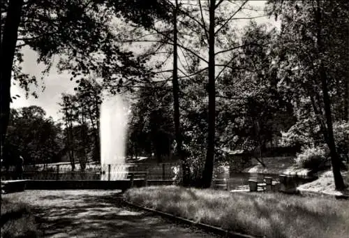 Ak Grimma in Sachsen, Philipp Müller Park, Wasserfontäne