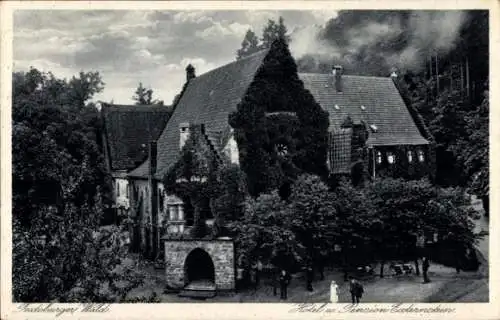 Ak Horn Bad Meinberg im Teutoburger Wald Westfalen, Hotel und Pension Externstein